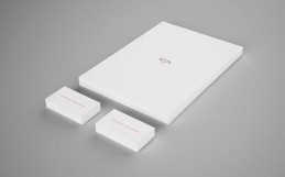 Sed molestie quis augue