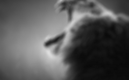 Molestie Quis Augue Pulvinar